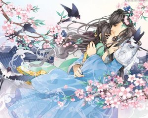 深入了解 日韩在线永久域名